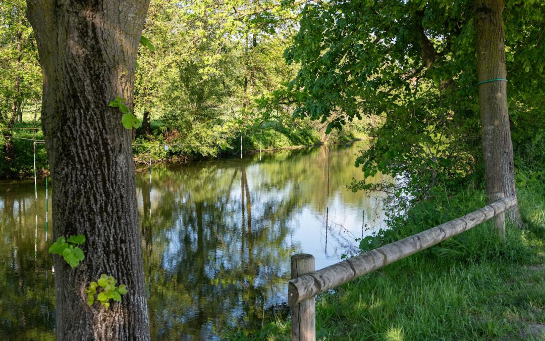 Unser Freilichtstück 2026